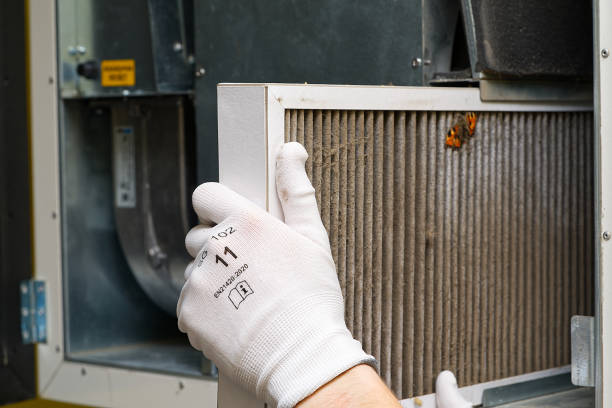 Best Air Duct Cleaning Near Me  in Tierra Verde, FL