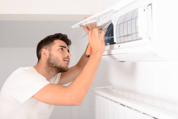 Best Air Duct Mold Removal  in Tierra Verde, FL
